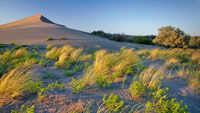 Bruneau Dunes State Park